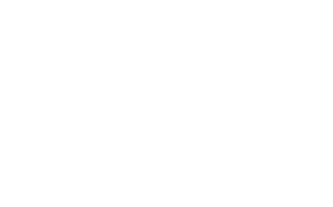 A.L.I Antitrust Litigation Investment Spa